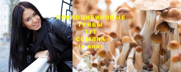 молекула духа Белоозёрский