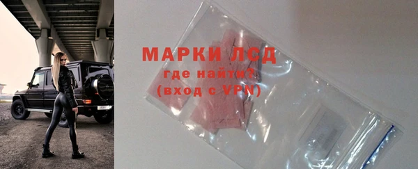 PSILOCYBIN Богданович