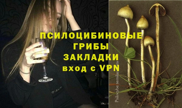 соль ск Богородицк