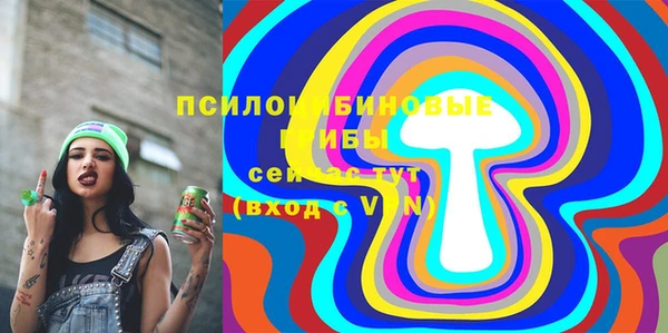 тгк Белокуриха