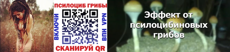 Псилоцибиновые грибы ЛСД  omg зеркало  Тосно  где купить  