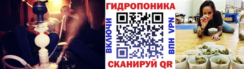 kraken как войти Тосно Канабис конопля